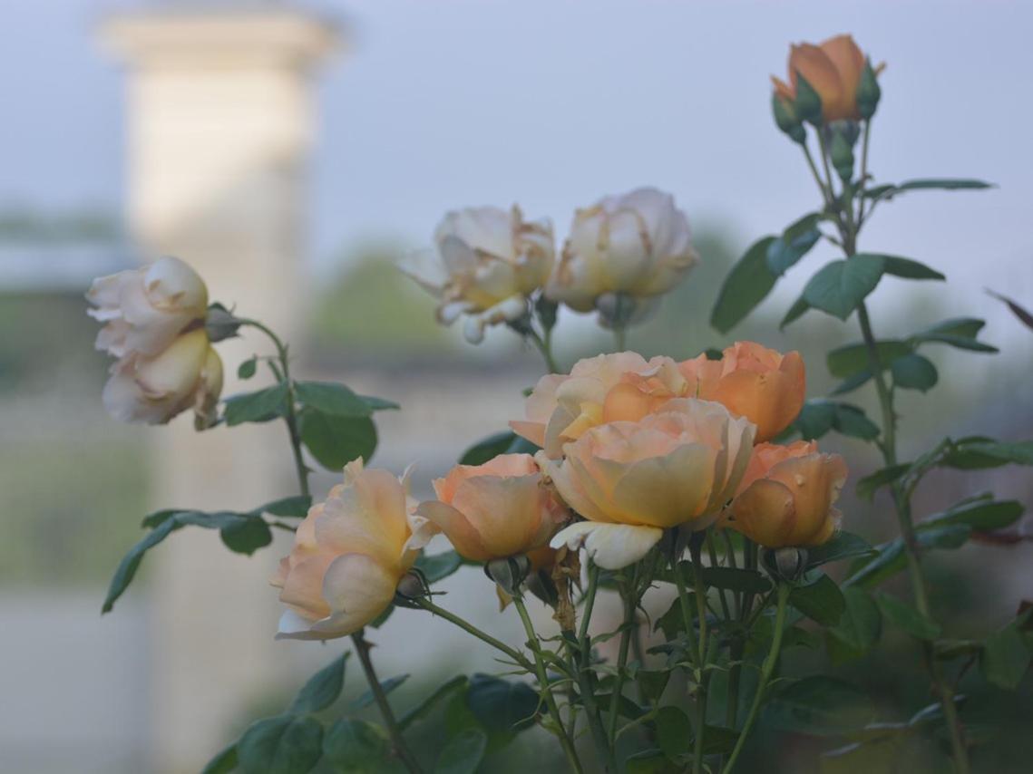 La Penesais Villa Beaumont-en-Véron Kültér fotó